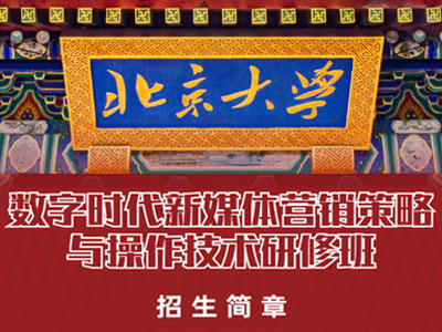 北京大学数字时代新媒体营销策略与操作技术研修班（停）