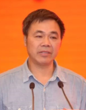 陈凯龙
